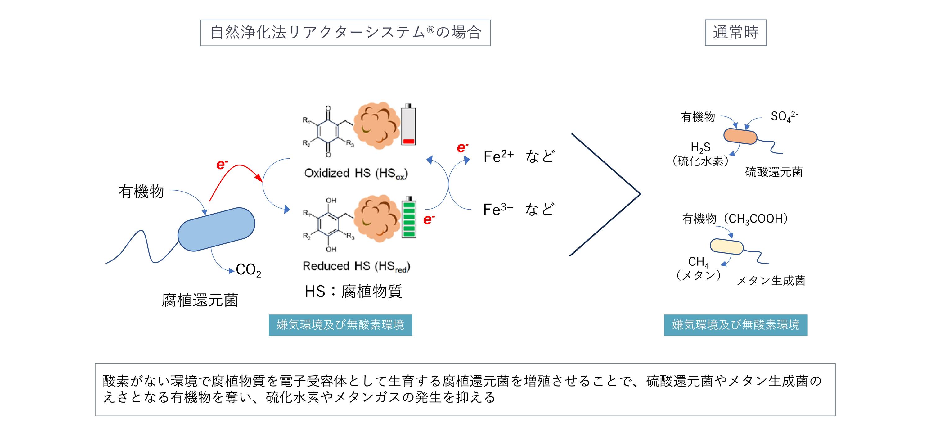 排水浄化システム-04