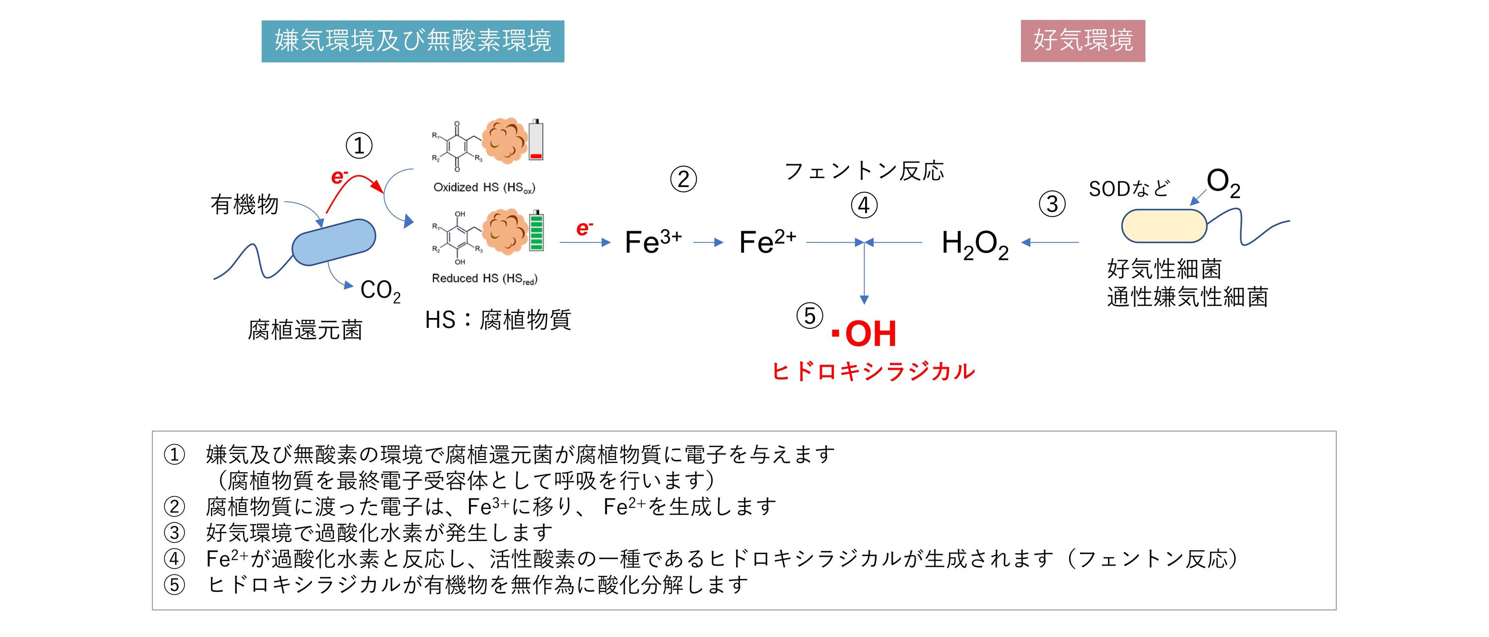 排水浄化システム-01